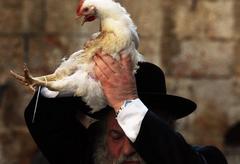 Kapparot: Jewish Ritual Stopped in Los Angeles; Is It Religious Sacrifice or Animal Cruelty? (VIDEO)